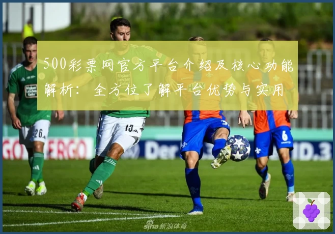500彩票网官方平台介绍及核心功能解析：全方位了解平台优势与实用技巧分享